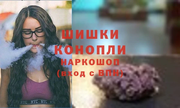ALPHA PVP Елизово