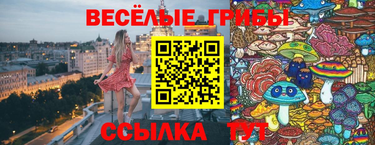 Галлюциногенные грибы ЛСД  цена   Рыбинск  Вход с VPN  Галлюциногенные грибы GOLDEN TEACHER 