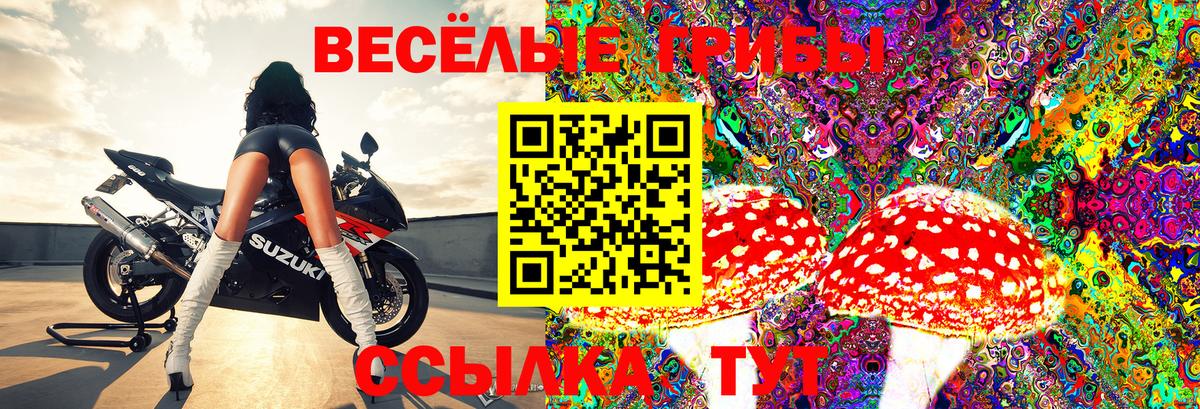 МЕТАДОН Рыбинск