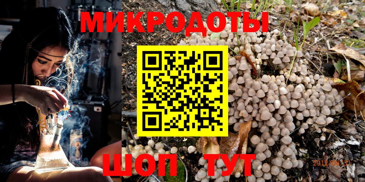 Псилоцибиновые грибы Psilocybine cubensis Рыбинск